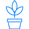 growth